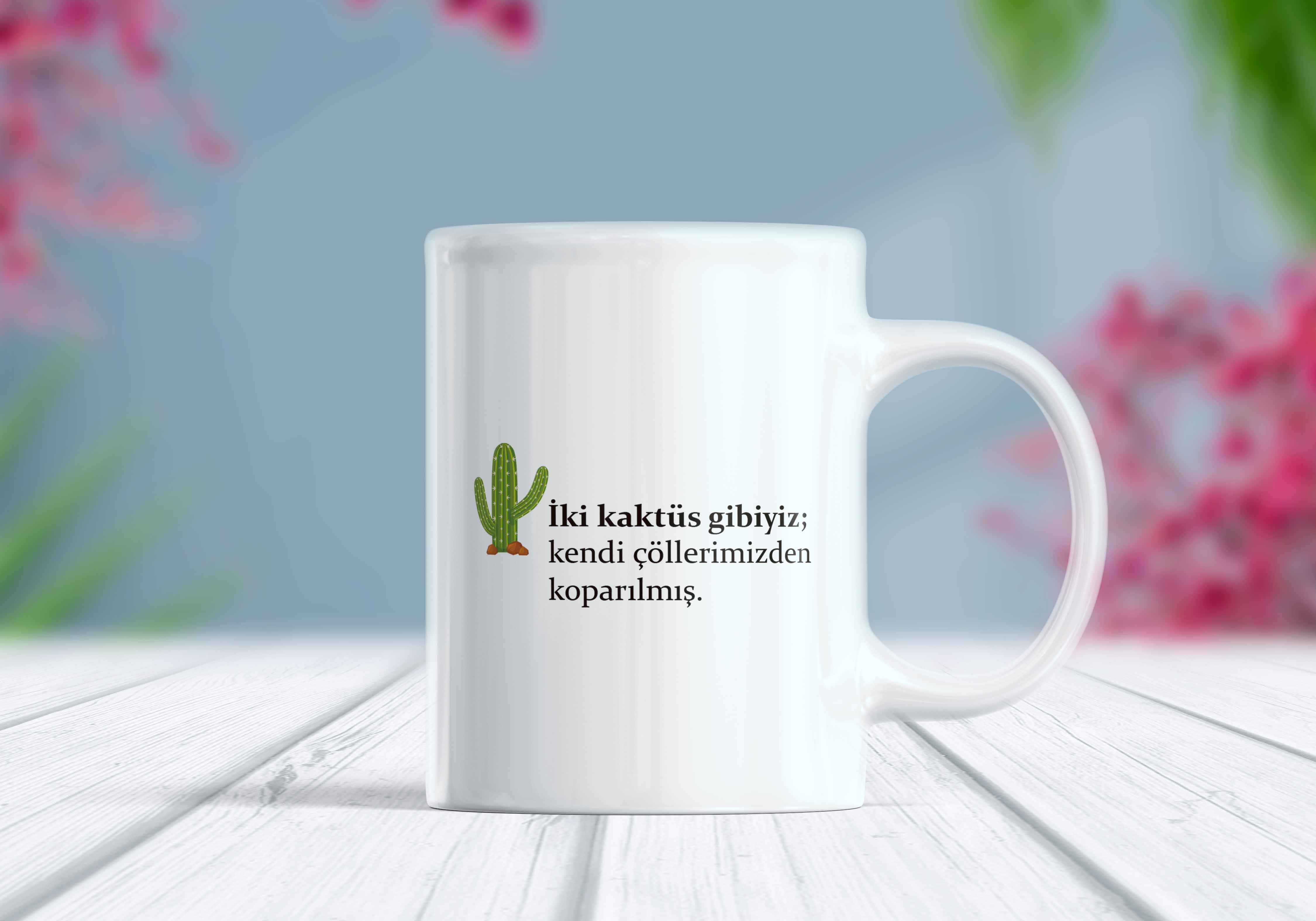 İki Kaktüs Gibiyiz Yazılı Komik Kupa Bardak