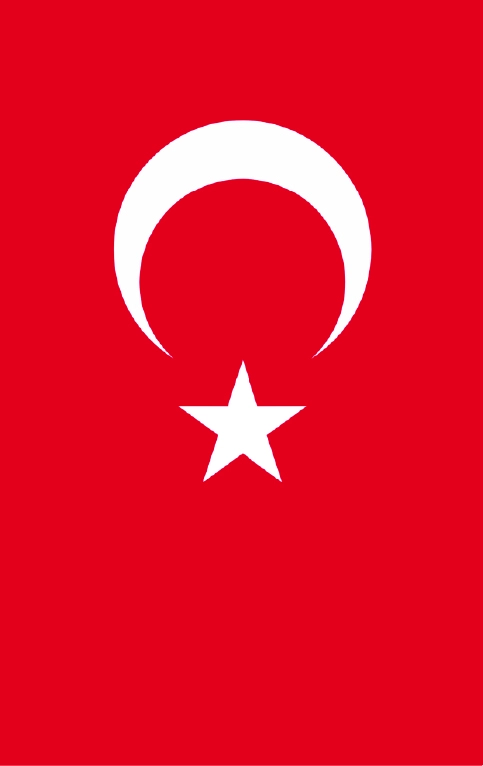 Türk Bayrağı Ahşap Poster