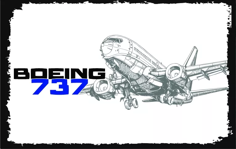 Boeing 737 Yolcu Uçağı Ahşap Poster