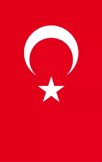 Türk Bayrağı Ahşap Poster
