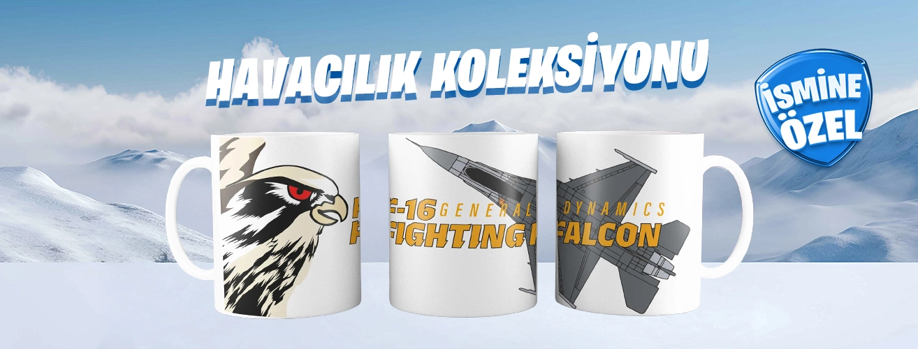 Havacılık Koleksiyonu